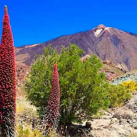 Karma Paraiso Tenerife Sur Apartment